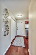 222 E Pearson St in Chicago, IL - Building Photo - Building Photo