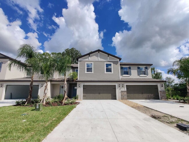 23244 Willow Glen Way in Lutz, FL - Building Photo - Building Photo