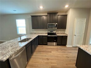 113 Declaration Ln in Liberty Hill, TX - Building Photo - Building Photo