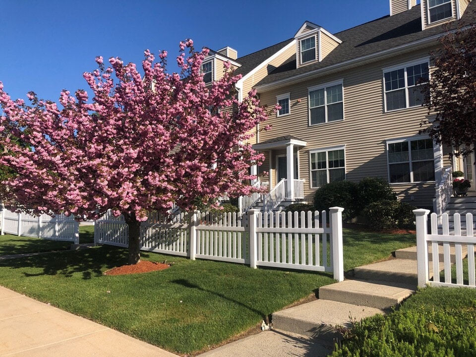 22 Pomeworth Street in Stoneham, MA - Building Photo