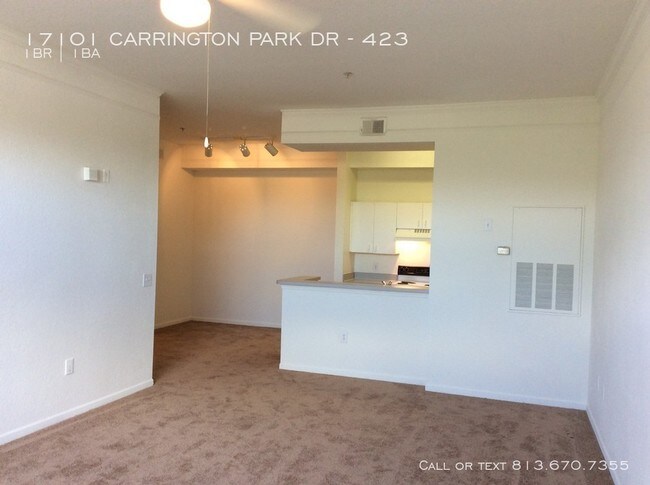 17101 Carrington Park Dr-Unit -423 in Tampa, FL - Foto de edificio - Building Photo