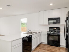 1421 Soapstone Pass in Kyle, TX - Building Photo - Building Photo
