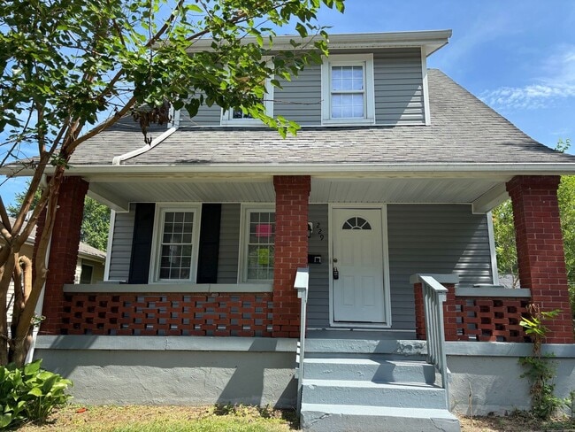 property at 229 Bellaire Ave