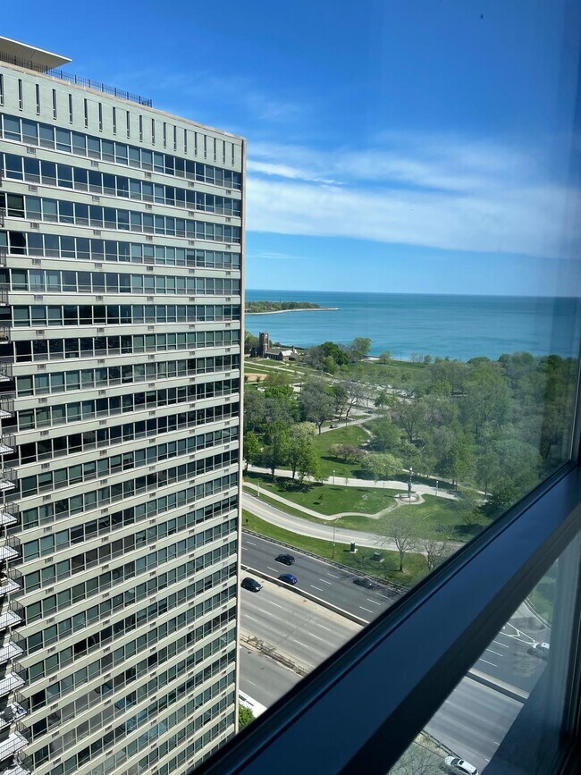 3550 N Lake Shore Dr, Unit 2309 in Chicago, IL - Building Photo - Building Photo