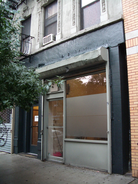 245 Eldridge St in New York, NY - Building Photo