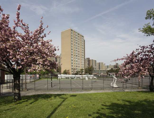 Spring Creek Towers in Brooklyn, NY - Foto de edificio - Building Photo