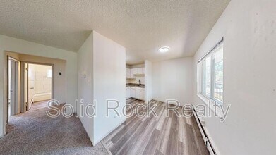 1411 S Corona Ave in Colorado Springs, CO - Building Photo - Building Photo