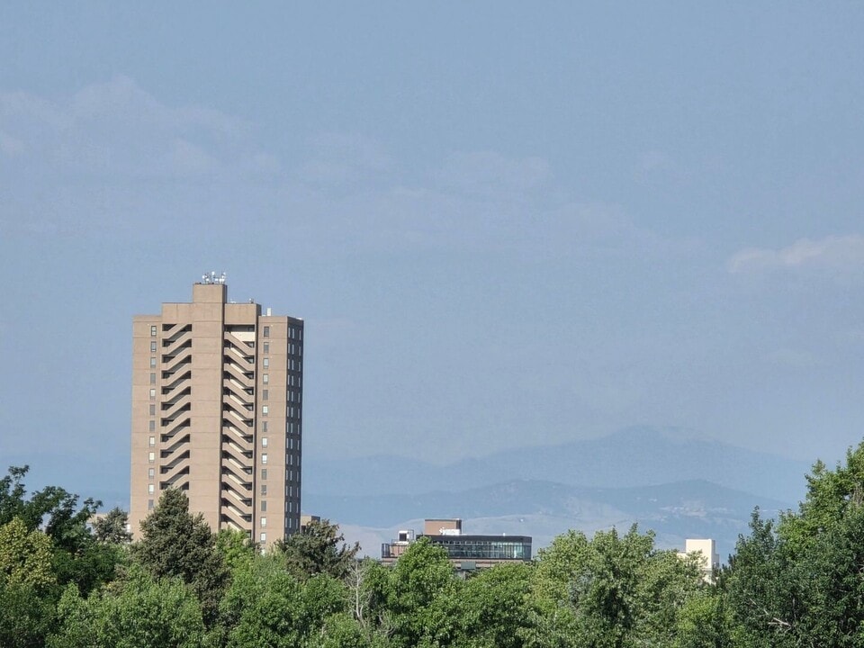 1313 Steele St in Denver, CO - Building Photo