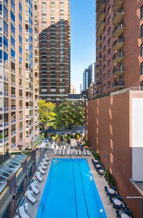 1160 N Dearborn St, Unit 2405 in Chicago, IL - Foto de edificio
