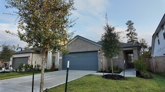 16976 Juniper Blossom Bnd in Conroe, TX - Building Photo