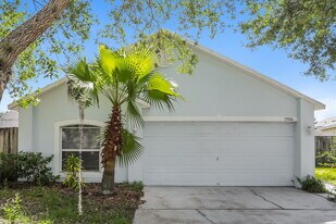 13506 Cohiba Ct in Riverview, FL - Building Photo