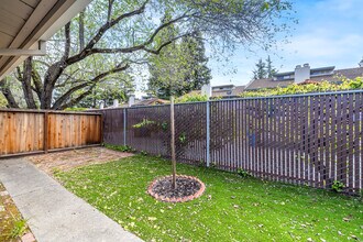 2323 San Juan Ave in Walnut Creek, CA - Building Photo - Building Photo
