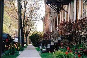 521 Virginia St in Buffalo, NY - Building Photo