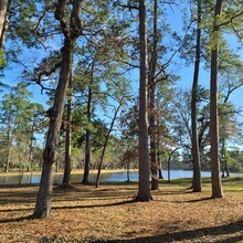 26445 Lazy Ln in Magnolia, TX - Building Photo - Building Photo