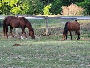 331 Glenwood Dr in Warrenville, SC - Building Photo - Building Photo