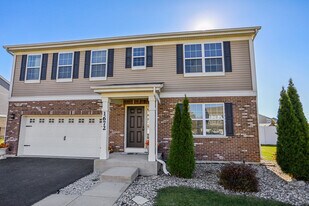 1672 Glenbrooke Ln in New Lenox, IL - Building Photo