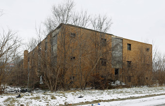 18110 Waever in Detroit, MI - Building Photo - Building Photo