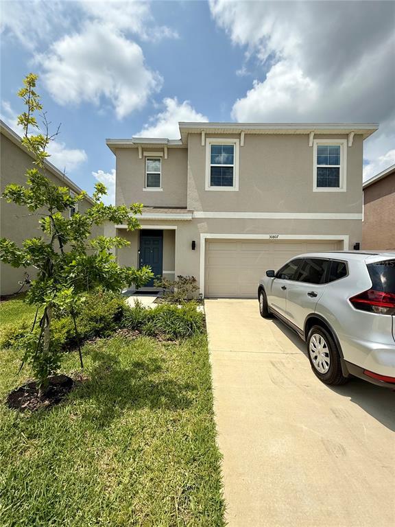 30807 Penny Surf Lp in Wesley Chapel, FL - Building Photo - Building Photo