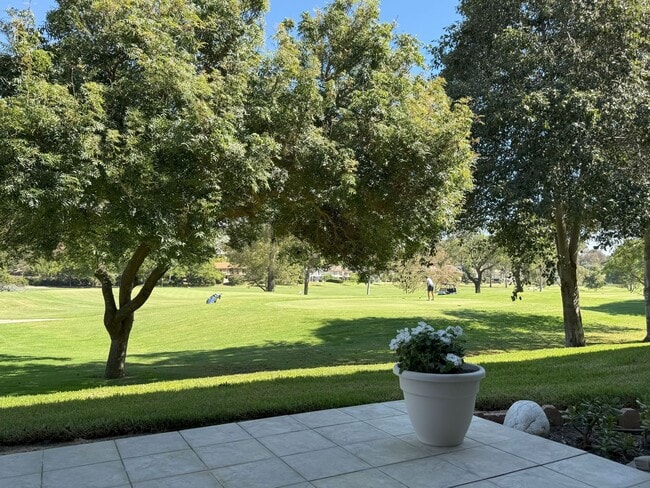 property at 31654 W Nine Dr