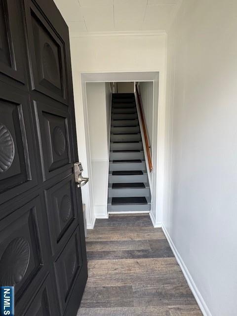 50 Martha Ave in Elmwood Park, NJ - Building Photo - Building Photo