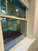 106 E Brookline St, Unit 1 in Boston, MA - Building Photo - Building Photo