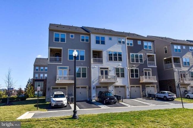 25291 Gray Poplar Terrace in Aldie, VA - Building Photo - Building Photo