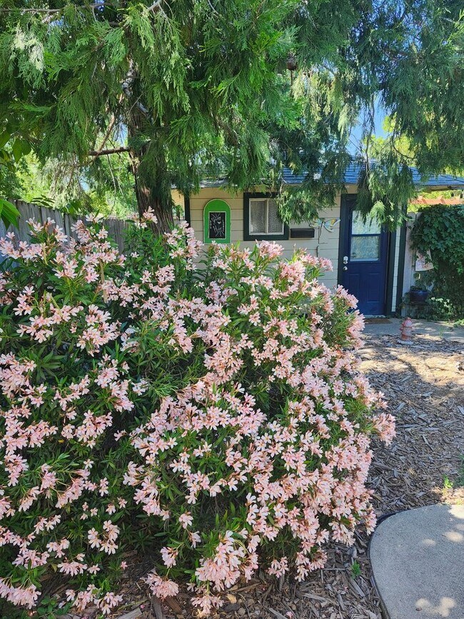 property at 5533 Clark Ave