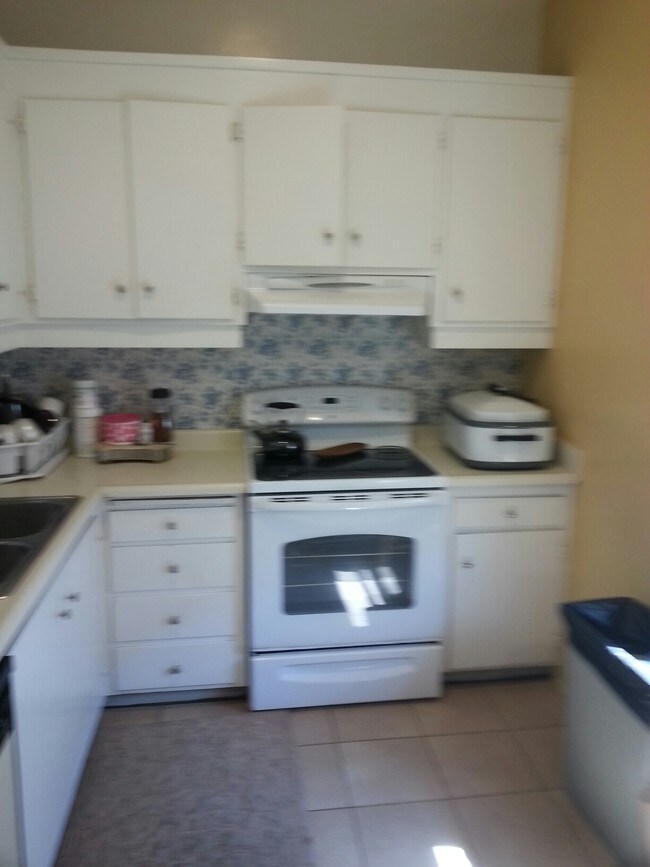 163 Novato St in San Rafael, CA - Foto de edificio - Interior Photo