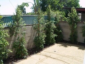 5910 Edgemar Ave in Los Angeles, CA - Building Photo - Building Photo