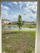 35606 Buttonweed Trl in Zephyrhills, FL - Building Photo - Building Photo