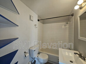 1140 N Downing St in Denver, CO - Building Photo - Building Photo