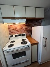 11 W Oak St, Unit Apt 11 in Shenandoah, PA - Building Photo - Building Photo