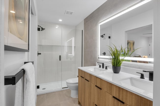 1904 Albury Cove in Austin, TX - Building Photo - Building Photo