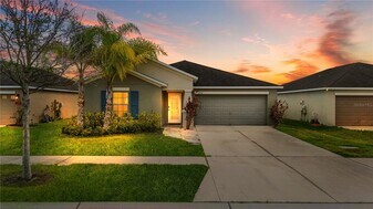 17110 White Mangrove Dr in Wimauma, FL - Building Photo