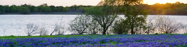 Casas Alquiler en South Dallas Fairpark, TX