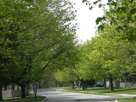 Forest View Apartments