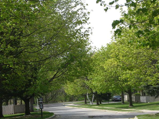 Forest View Apartments in Haslett, MI - Building Photo