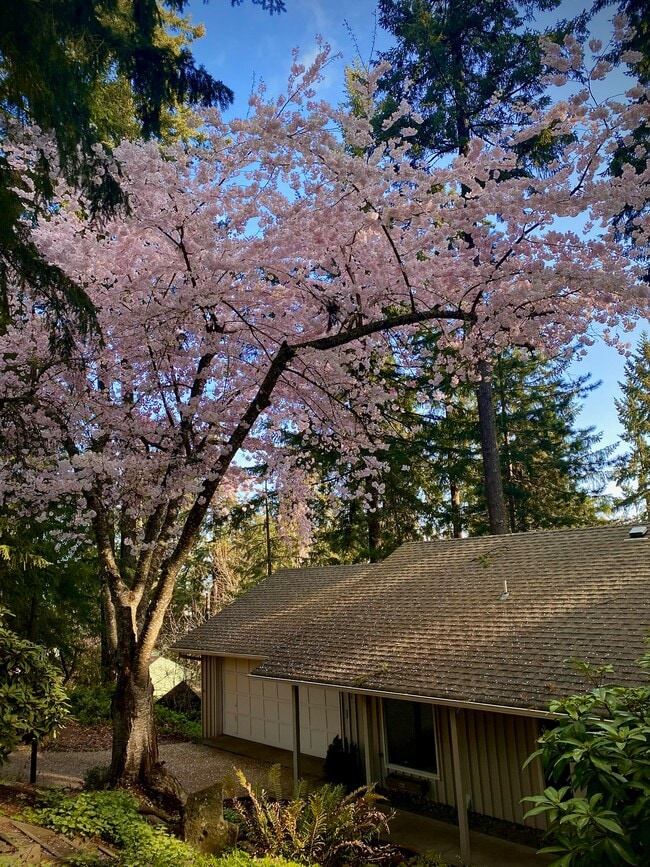 2834 Warren St in Eugene, OR - Foto de edificio - Building Photo