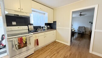 292 Hill St in London, ON - Building Photo