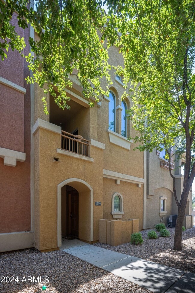 240 W Juniper Ave in Gilbert, AZ - Building Photo - Building Photo