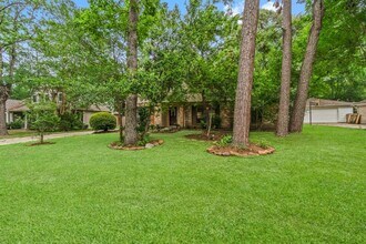 29 W Torch Pine Cir in Spring, TX - Building Photo - Building Photo