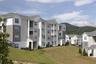 Riverstone Apartments at Long Shoals in Arden, NC - Building Photo - Building Photo