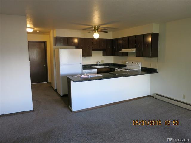 1253 Straight Creek Dr in Dillon, CO - Building Photo