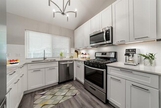 10429 Firethorn Ln in Austin, TX - Building Photo - Building Photo