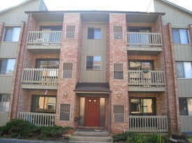 152 N Brockway St, Unit 3A in Palatine, IL - Building Photo