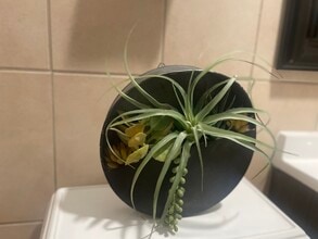 5133 W Wrightwood Ave in Chicago, IL - Building Photo - Building Photo