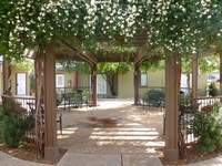 Coronado Vista Courtyard Apts.(SENIOR LIVING) in Tucson, AZ - Foto de edificio - Building Photo