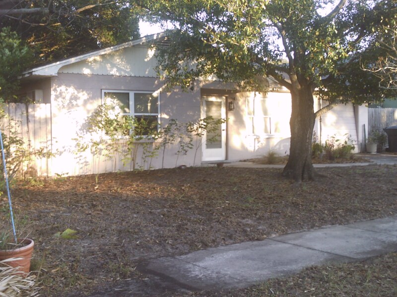 53 Highland Ave in Dunedin, FL - Building Photo