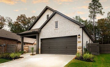 17459 Vino Vines Ln in Woodloch, TX - Building Photo - Building Photo