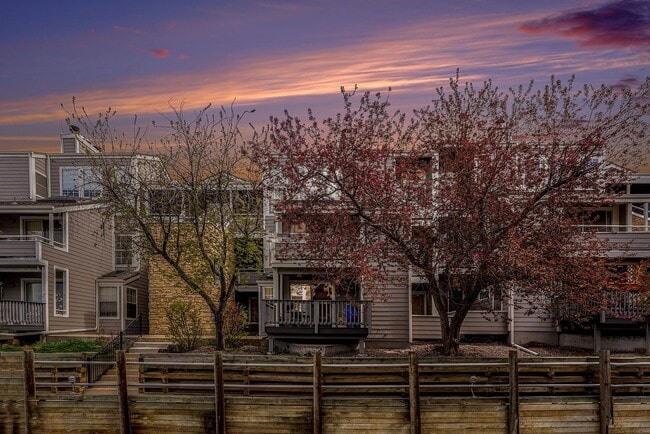 6860 Xavier Cir in Westminster, CO - Building Photo - Building Photo